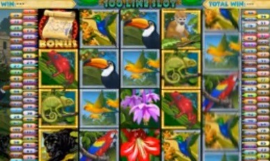Amazon-Wild-slotspill.jpg