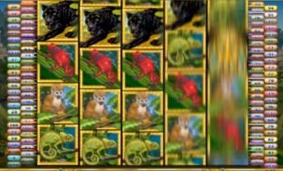 Amazon-Wild-spelautomat.jpg