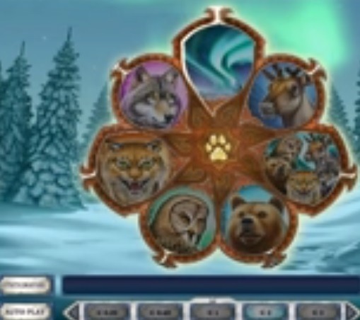 Wild-north-peli.jpg