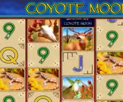 Coyote-Moon-peli.jpg