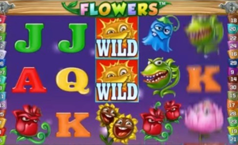Flowers-spelu-automats.jpg