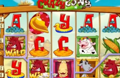 Spēļu-Automāts-Crazy-Cows.jpg