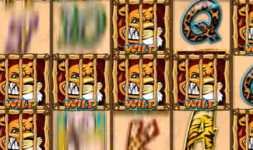 -со-львами-Wild-Gambler.jpg