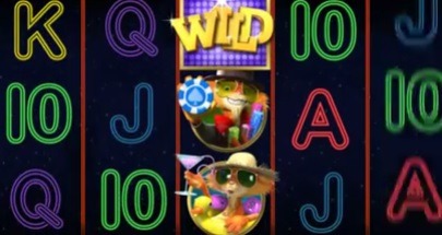 Cat-in-Vegas-juego-del-slot.jpg