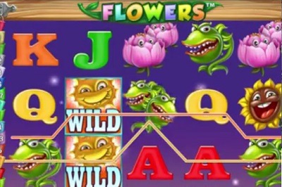 Flowers-Automatenspiel.jpg