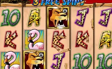 Wild-Gambler-slotspill.jpg