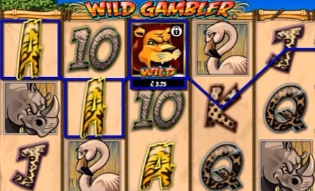 Wild-Gambler-tragamonedas.jpg