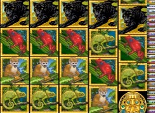 amazon-Wild-slots-juegos.jpg