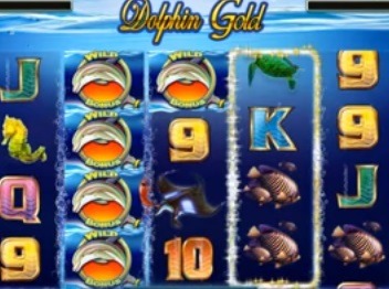 Dolphin-Gold-Slot.jpg