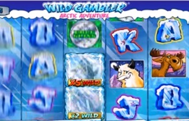 Screenshot of Arctic Adventure Online Slot Machine