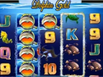 Screenshot of Dolphin Gold Online Slot Machine