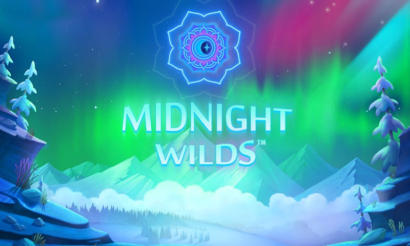 Screenshot of Midnight Wilds Online Slot Machine