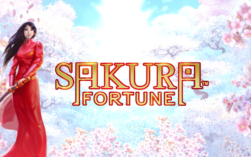 Screenshot of Sakura Fortune Online Slot Machine