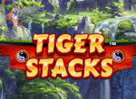 Tiger Stacked Wildss