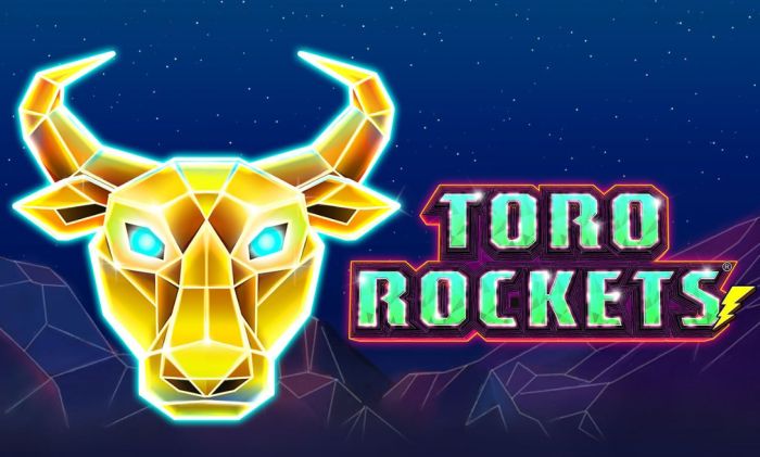 Toro Rockets RTP