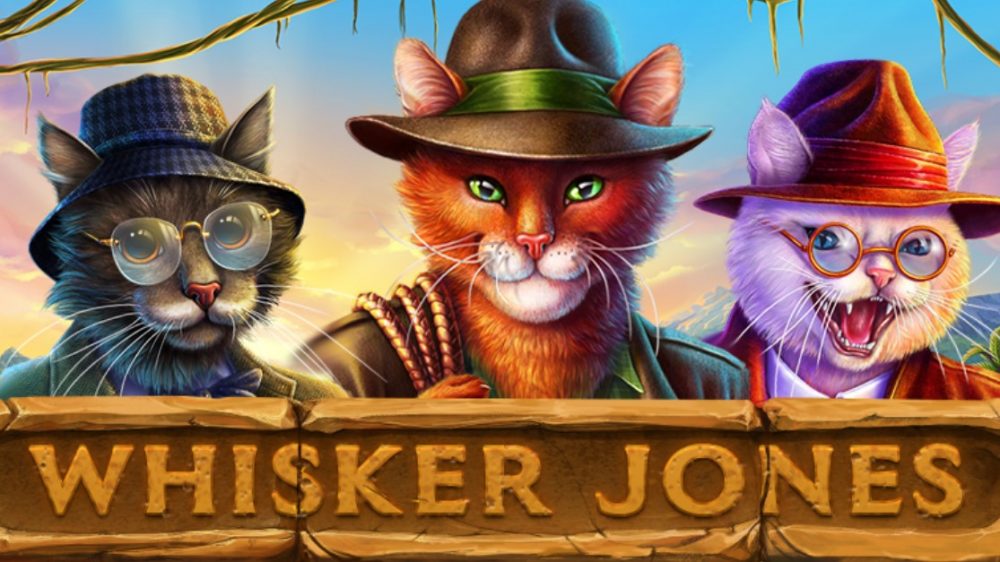 Screenshot of Whisker Jones Online Slot Machine