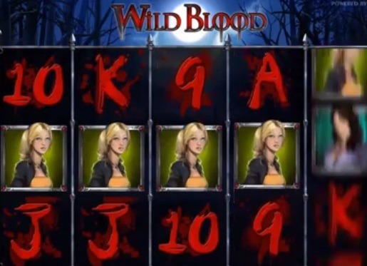 Screenshot of Wild Blood Online Slot Machine
