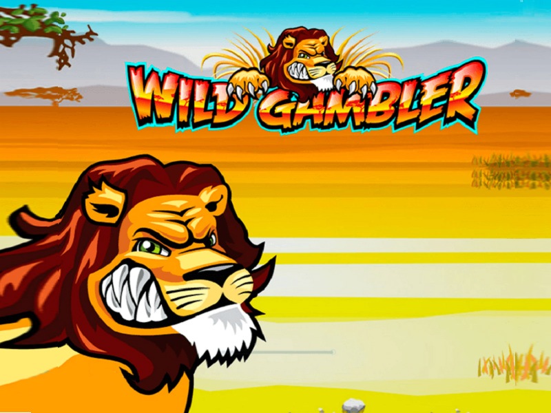 Screenshot of Wild Gambler Online Slot Machine