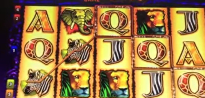 Screenshot of Wild Life Online Slot Machine